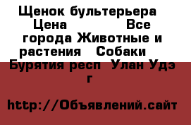 Щенок бультерьера › Цена ­ 35 000 - Все города Животные и растения » Собаки   . Бурятия респ.,Улан-Удэ г.